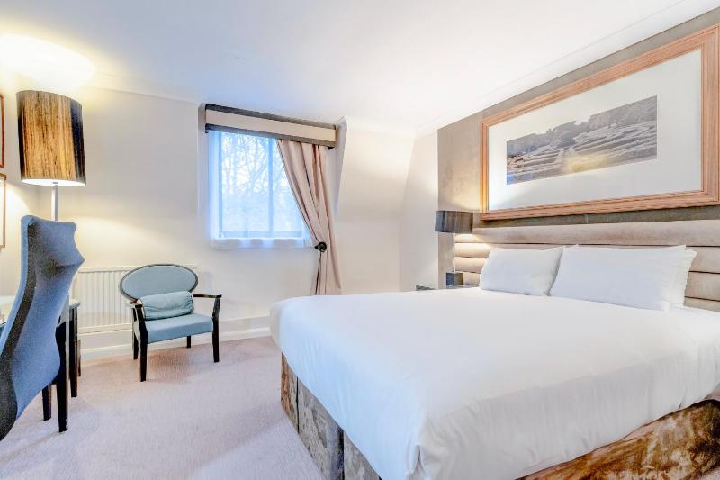 Superior Suite image 3