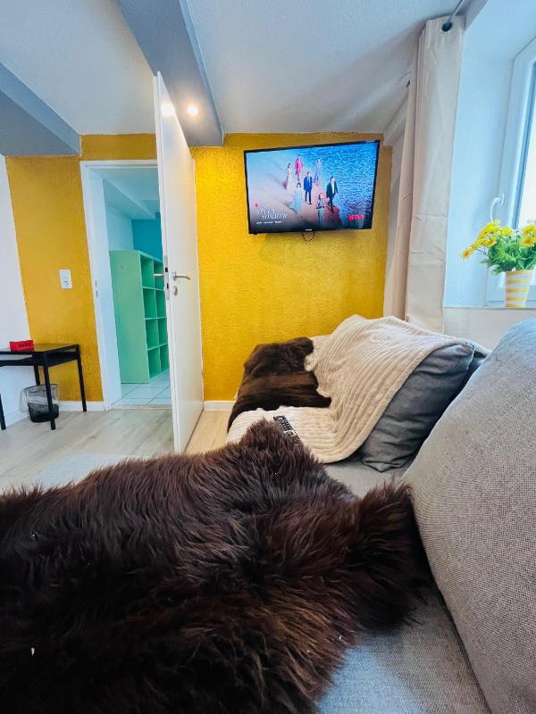 Studio Apartment image 2