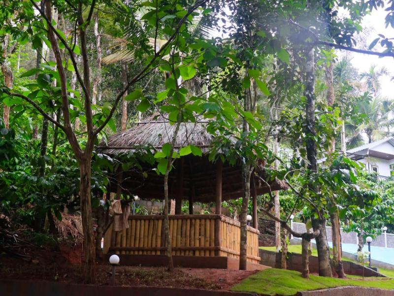 Fogland Villa - image 18