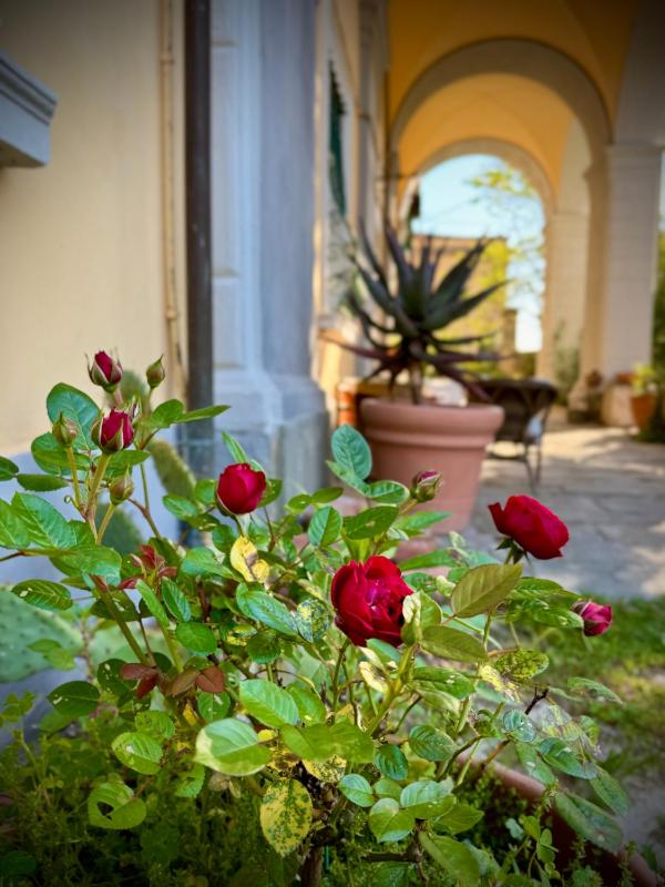 Villa La Dogana - B&B with a lovely garden - Private parking - Slow living in an old-fashioned historical home - image 29