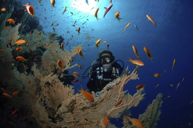 Mesca Chalet Soma Bay - image 22