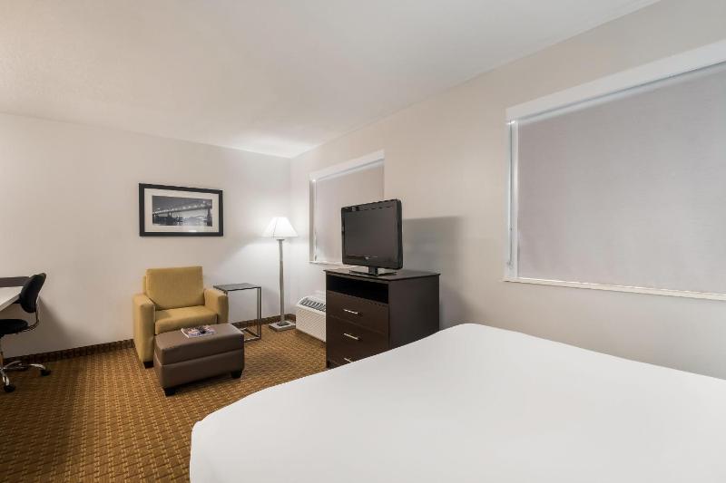 Single Room image 4