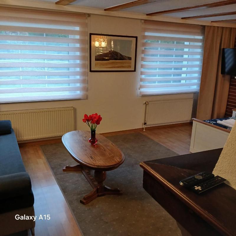 ApartamentVanessa - image 43