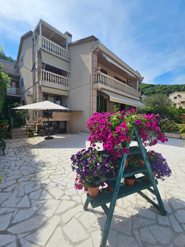 Apartment with Terrace image 3