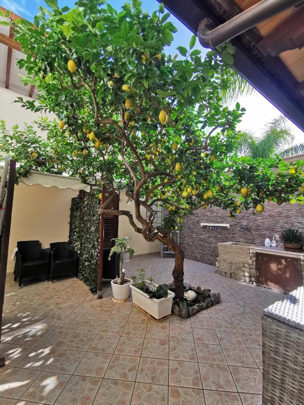 Il Giardino del Sol - image 4