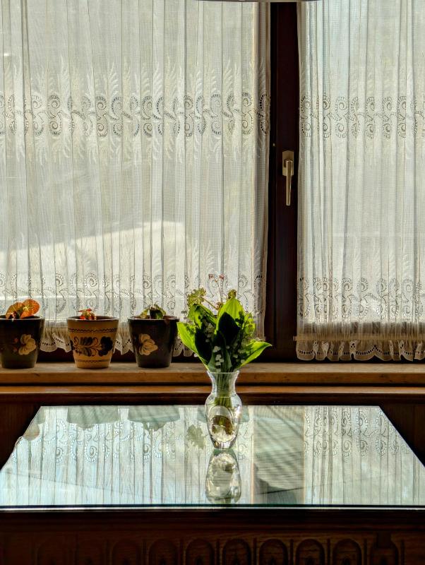 Apartma Rustika - image 7