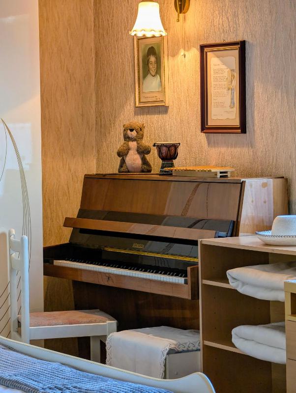 Apartma Rustika - image 3