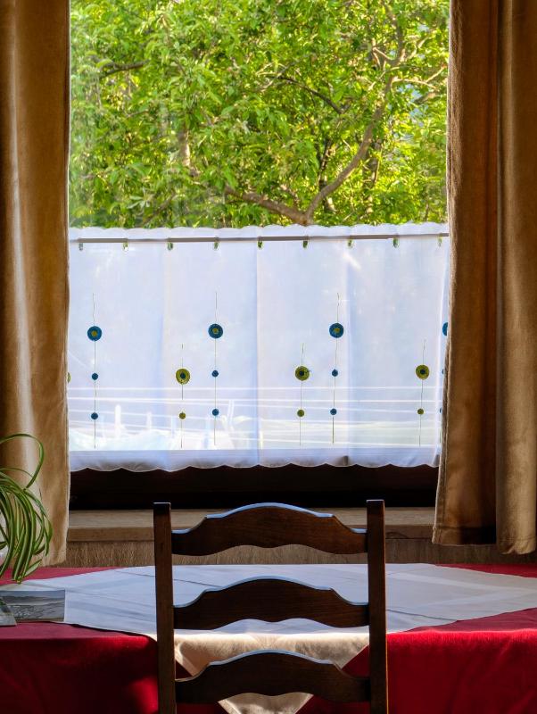 Apartma Rustika - image 10