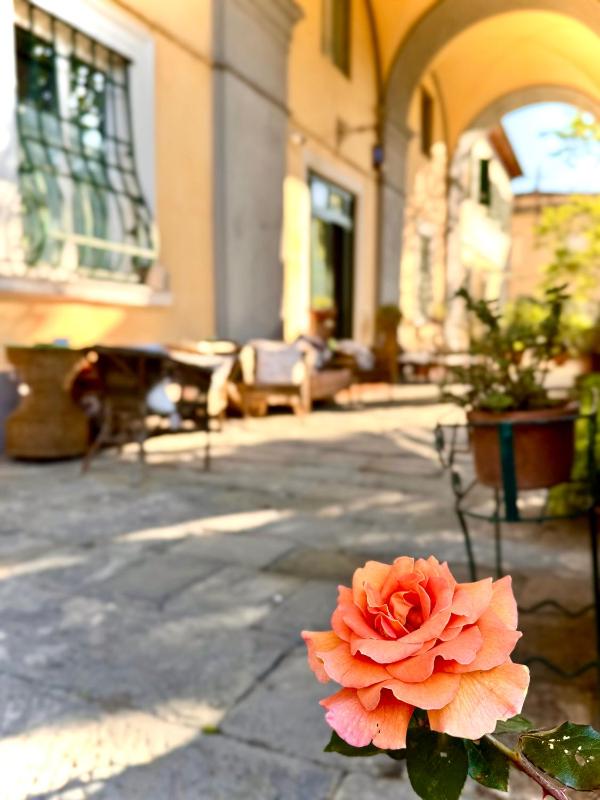 Villa La Dogana - B&B with a lovely garden - Private parking - Slow living in an old-fashioned historical home - image 37