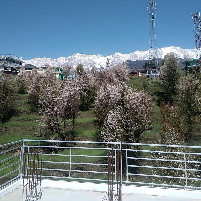 Tranquil Trails Home Stay Naddi - image 6