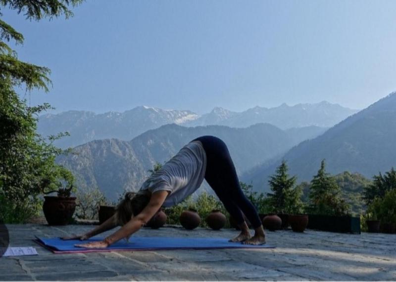 Tranquil Trails Home Stay Naddi - image 13