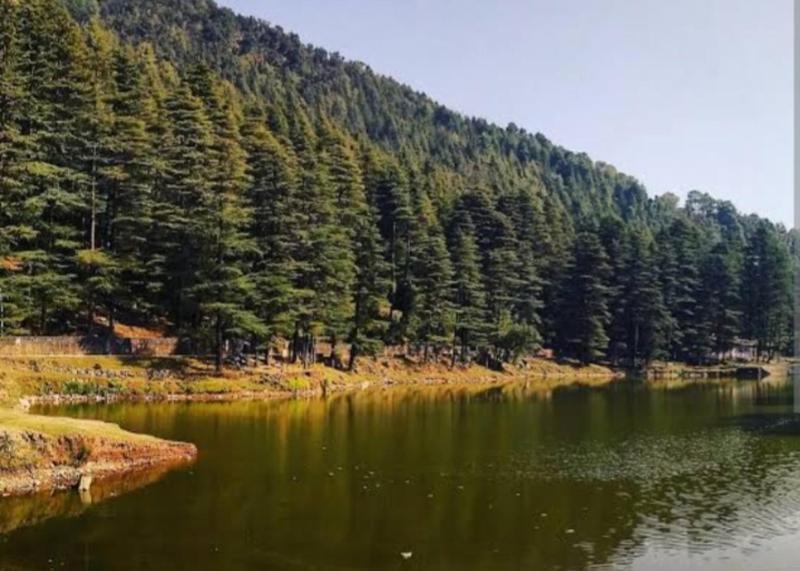 Tranquil Trails Home Stay Naddi - image 34