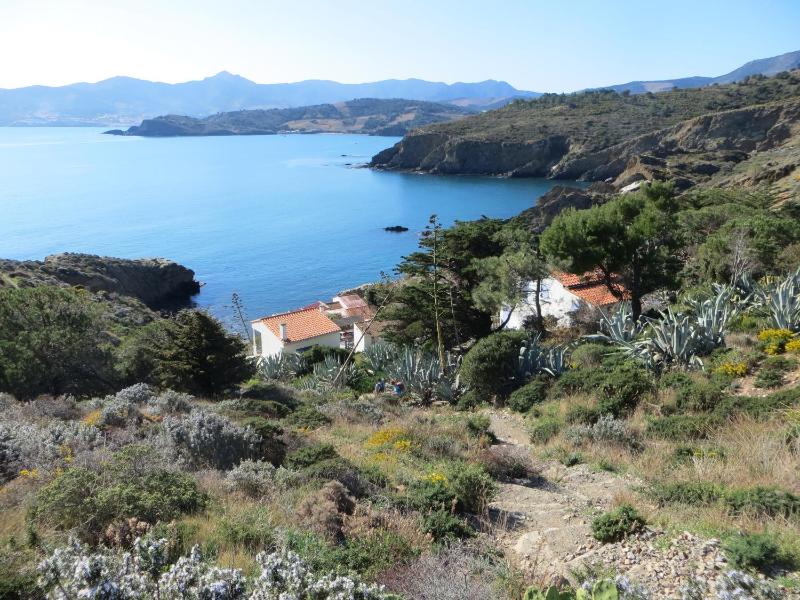 Camping le Rancho - image 46