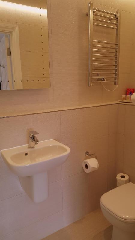 Deluxe Single Room image 2