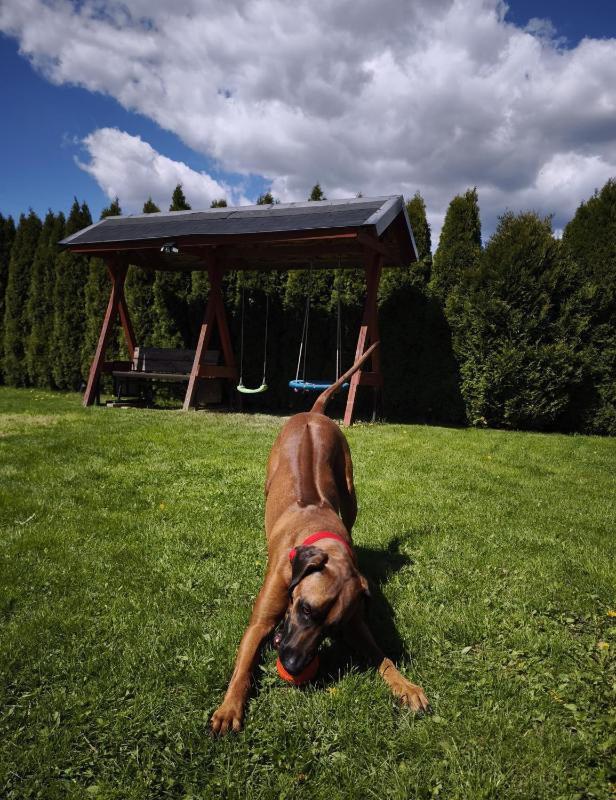 Apartment with Mountain View image 3