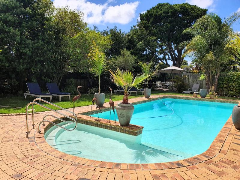 Wild Olive Guest House & Villa - image 1