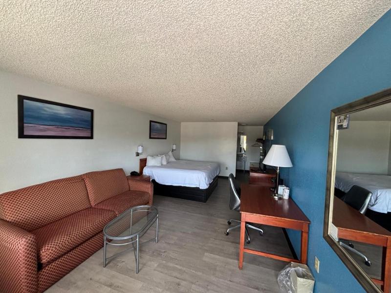 Studio Suite with 1 King Bed,  Smoking image 4