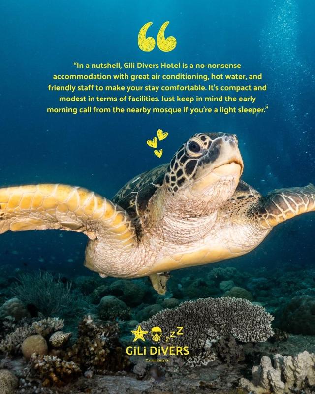 Gili Divers Hotel - image 50
