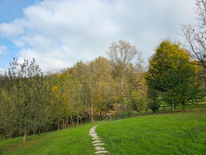 Villa Enigma - image 15