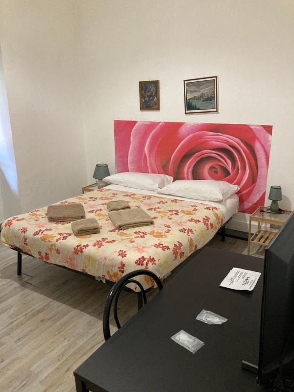Standard Single Room image 2