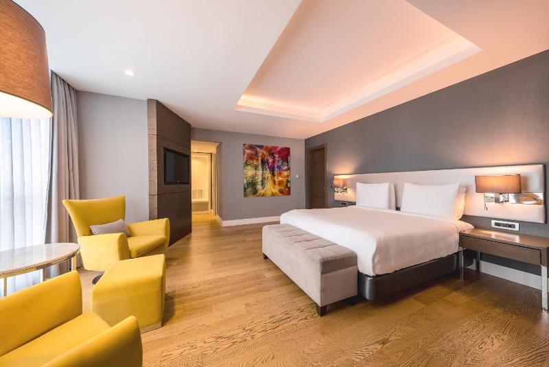 One Bedroom Suite  image 4