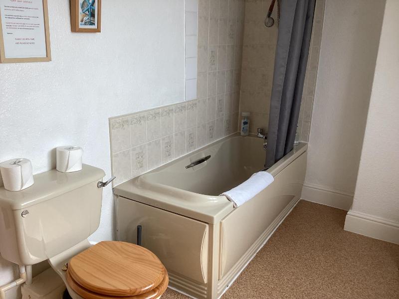 Family Room with Bath image 2