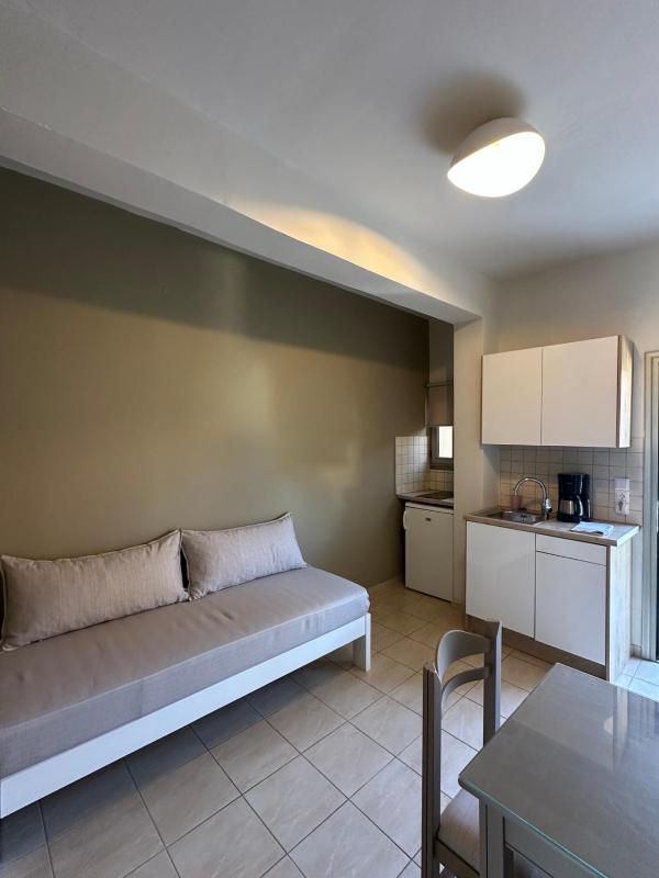 One-Bedroom Apartment image 2