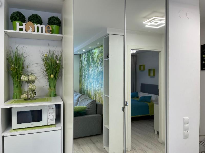 One-Bedroom Apartment image 4