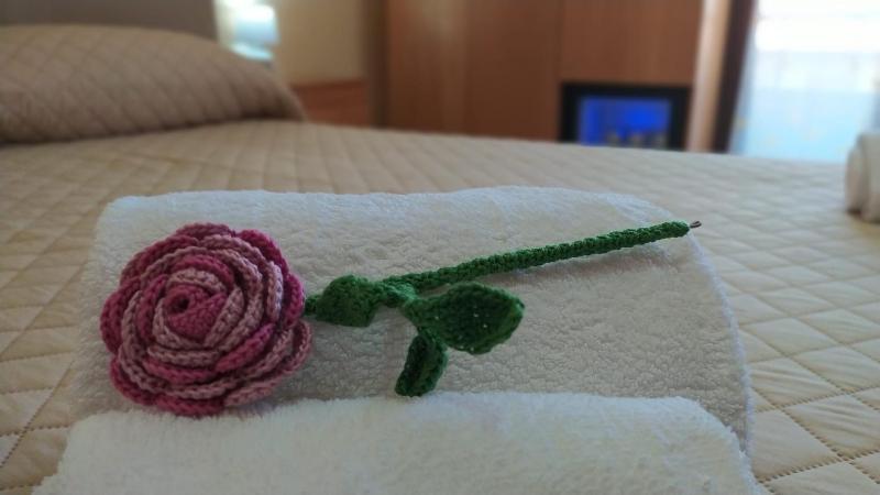 Standard Double Room image 3