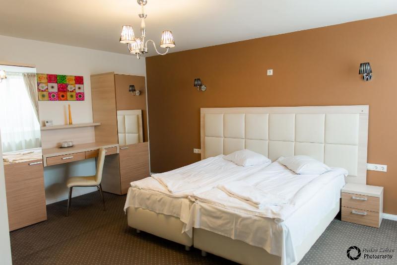Superior Double or Twin Room image 2
