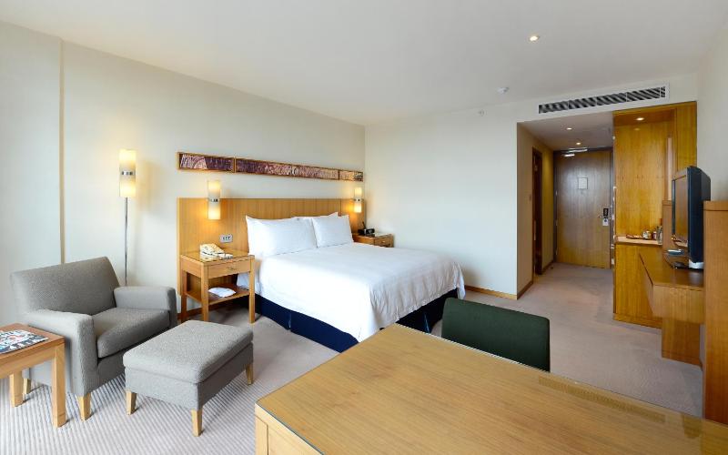 Deluxe King Room image 3