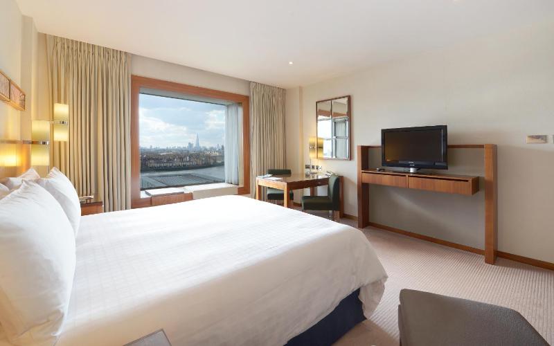 Deluxe King Room image 2