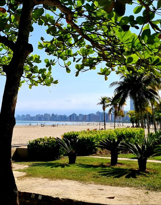 Viver a vida - image 4