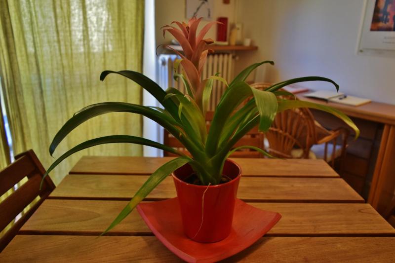 Apartment image 3