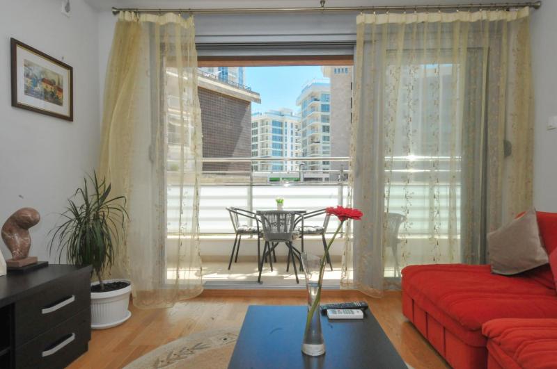 One-Bedroom Apartment image 3