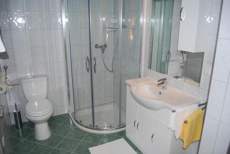 One-Bedroom Apartment image 2