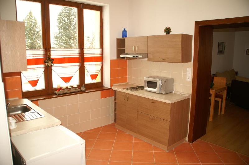 One-Bedroom Apartment image 2