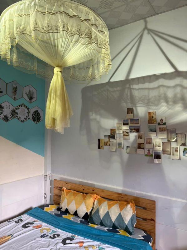 Green Sunshine Homestay - image 12