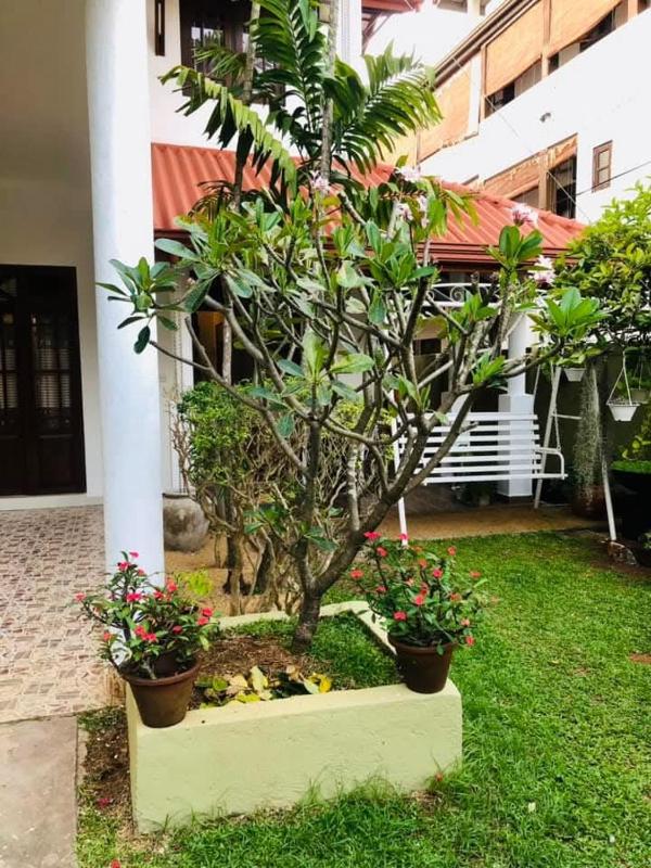 PEONY luxury Homestay - Anuradhapura - image 6