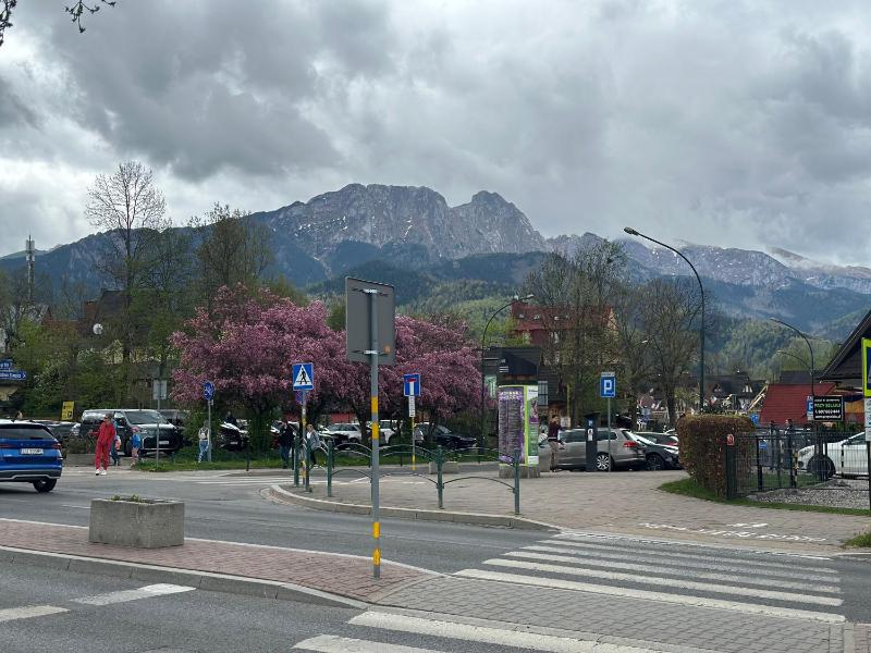 Leśny Dworek Zakopane - image 11