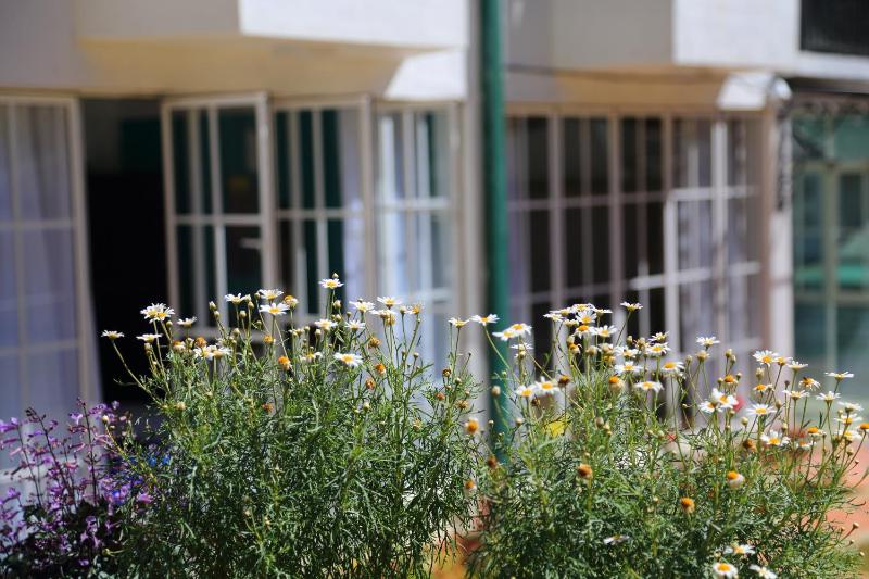 Lemas Holiday Bungalow - image 13