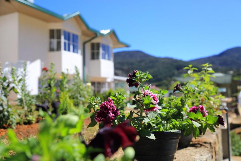 Lemas Holiday Bungalow - image 16
