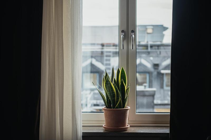 Standard Twin Room image 2