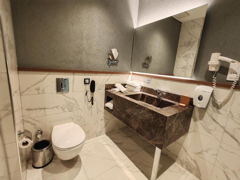 Deluxe Suite image 1
