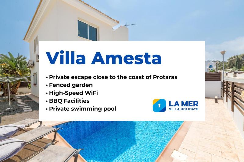 Villa Amesta - image 14