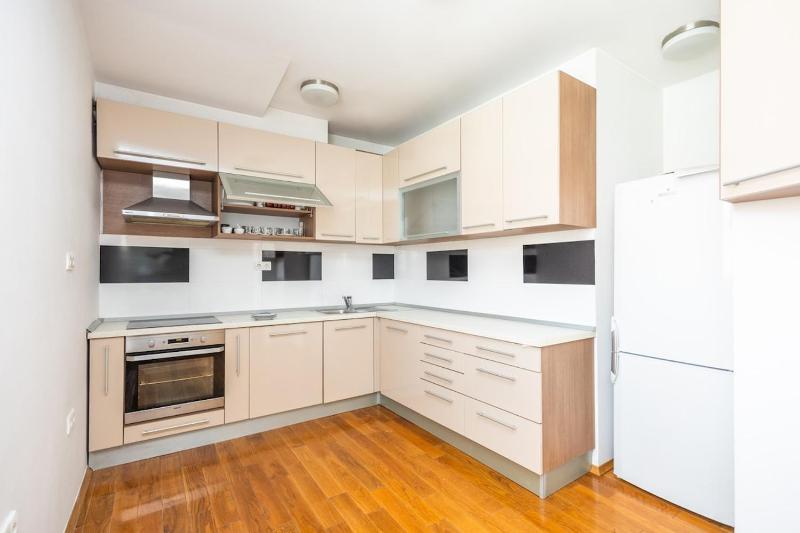 Spacious Apartment in Downtown - image 3