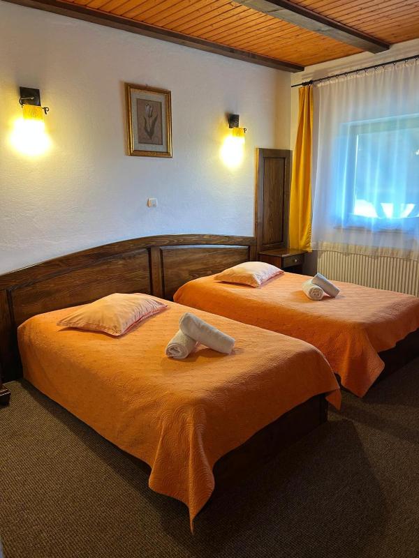 Double or Twin Room image 4
