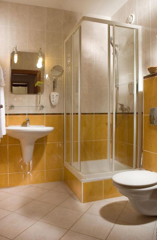 Superior Single Room image 4