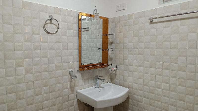 Shine Haven Ella - image 11