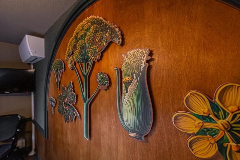Economy Double or Twin Room image 3